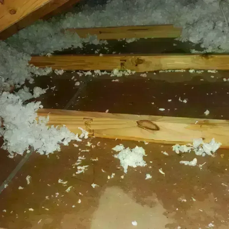 Attic Water Damage in Rio Communities, NM